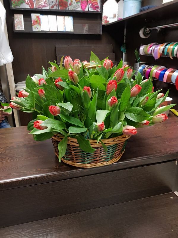 Тюльпаны в корзине