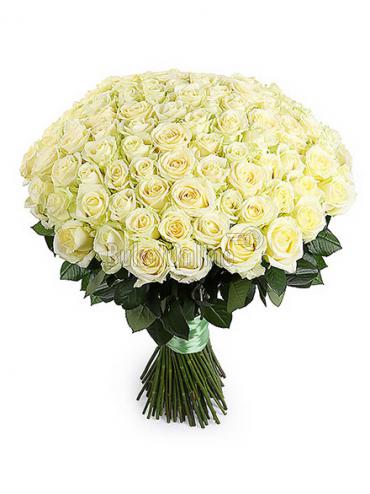 Букет цветов 101 белая роза
