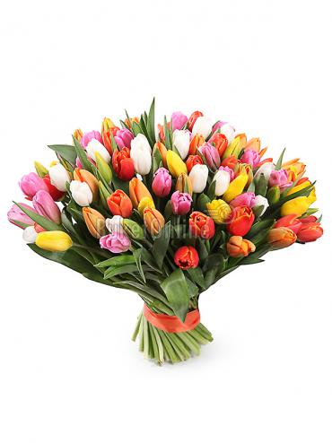 Букет цветов 101 тюльпан (микс)