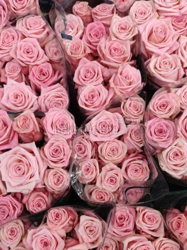Букет цветов Розы с выбором цвета