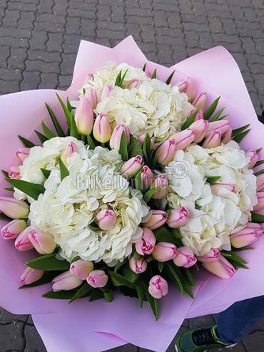 Цветы -  Тюльпаны и гортензия