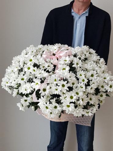 Цветы с доставкой Корзина с хризантемой средняя