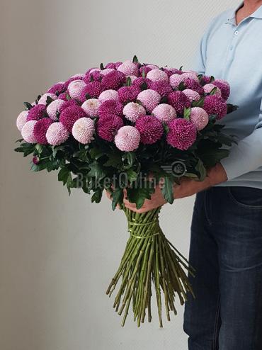 Заказать доставку Хризантема - букет цветов
