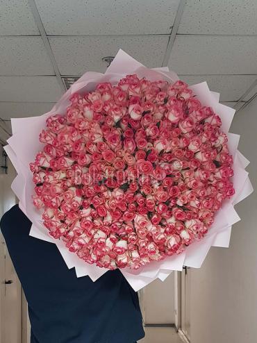 Цветы с доставкой Букет из 301 розы Джумилия