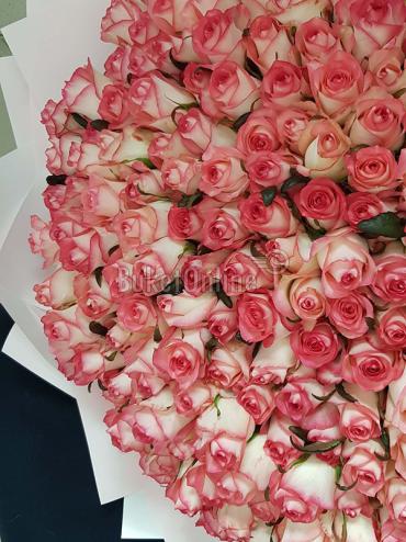 Купить с доставкой Букет из 301 розы Джумилия