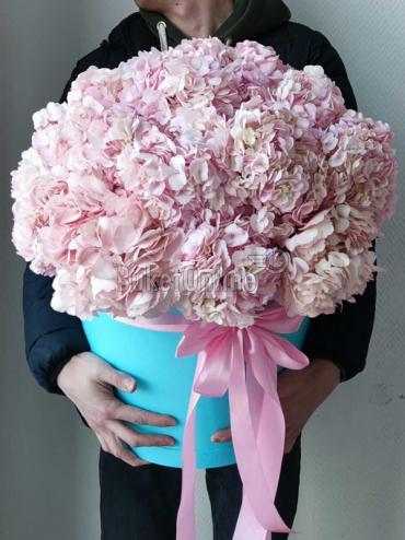 Букет цветов Шляпная коробка с 21 гортензией