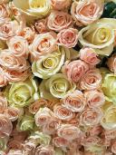 Букет роз 101 цветок