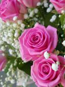 Розовые облака - букет розовых роз