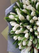 Белые тюльпаны - огромный букет