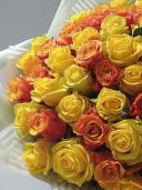 Солнышко - желтые розы