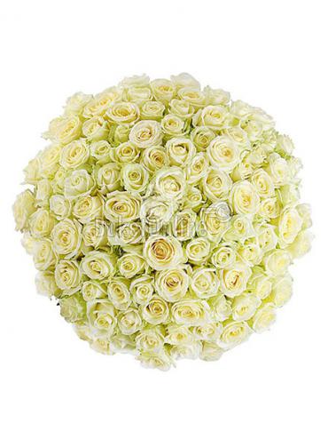 Букет цветов 101 белая роза