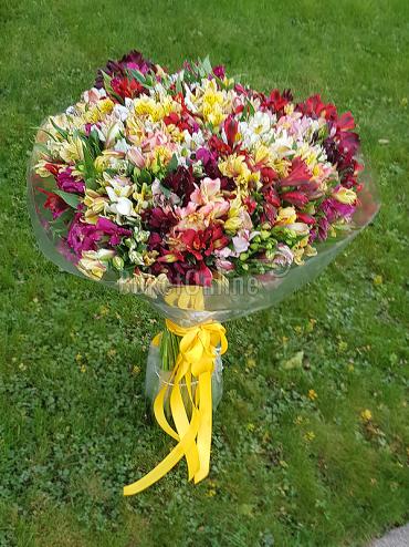 Цветы с доставкой Букет из 101 альстромерии