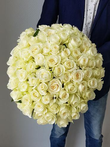 Цветы с доставкой Роза Аваланж - 75шт