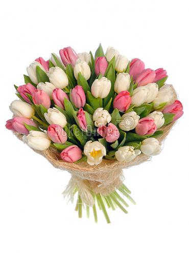 Цветы с доставкой 51 тюльпан