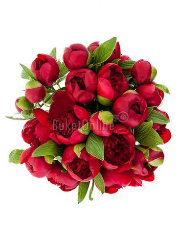 Цветы с доставкой Бордовый жемчуг