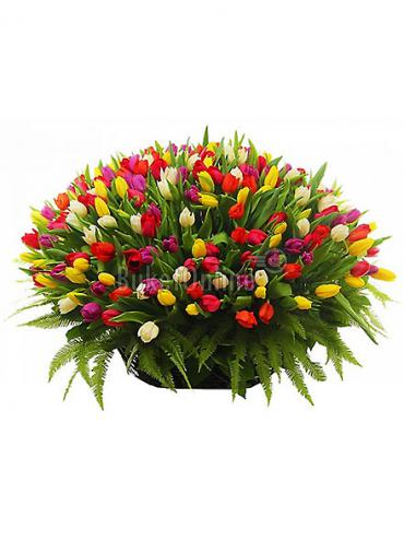 Цветы с доставкой 301 тюльпан в корзине