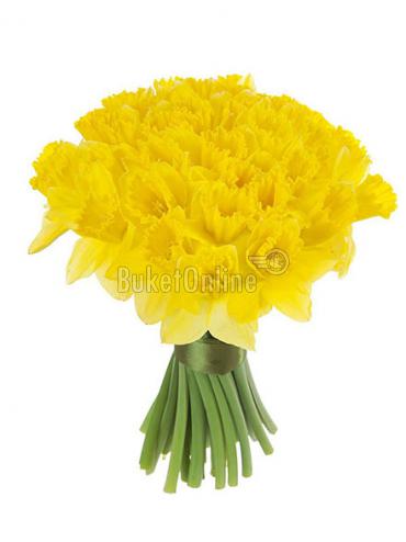 Цветы с доставкой Нарциссы - корпоративный букет