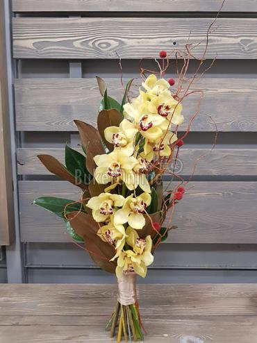 Цветы -  Орхидея Цимбидиум