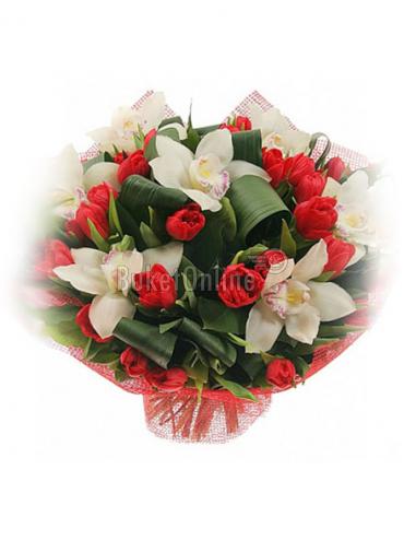 Букет цветов Тюльпаны и орхидеи - цветы оптом