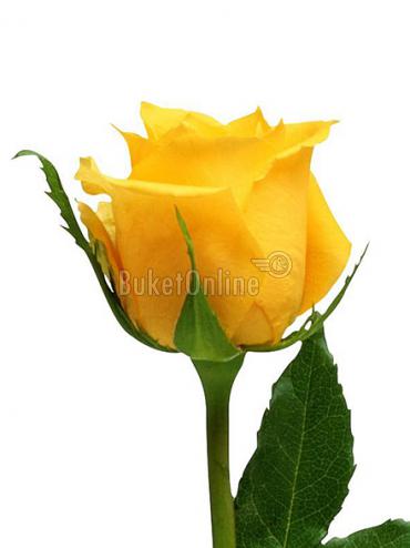 Букет цветов Желтые розы поштучно