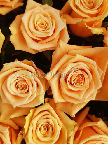 Цветы -  101 роза в корзине Премиум