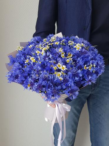 Цветы -  Букет васильков с ромашкой