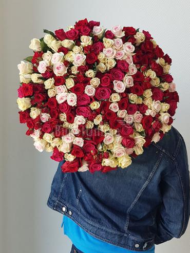 Цветы -  Букет из 201 розы