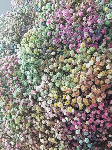 Цветы с доставкой Гигантский букет гипсофилы