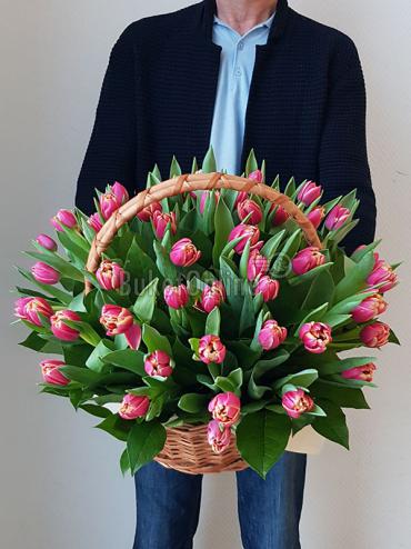 Букет цветов 51 пионовидный тюльпан сорта Каламбус