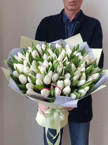 Доставить Белые тюльпаны - огромный букет