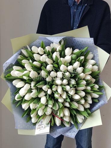 Доставка курьером Белые тюльпаны - огромный букет