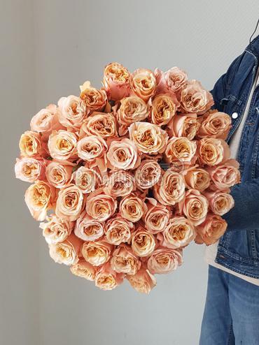 Цветы -  Эквадорские розы ''SHIMER''