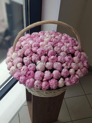 Букет цветов Корзина со 101 пионом